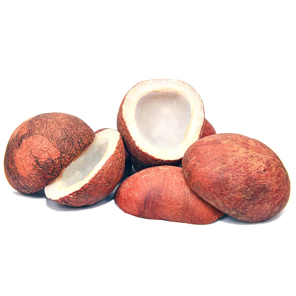 Khopra Giri (Coconut)