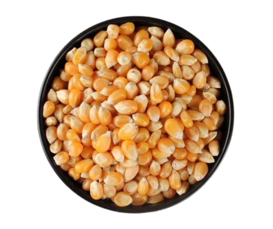 Makai Corn - Fresh and Sweet Corn on the Cob